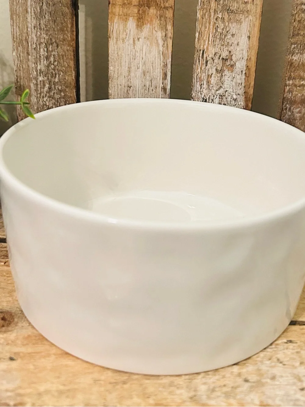 Rae Dunn Medium NIBBLE Dog Bowl